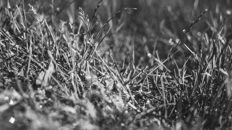 7 dicas para melhorar sua gestão de equipes